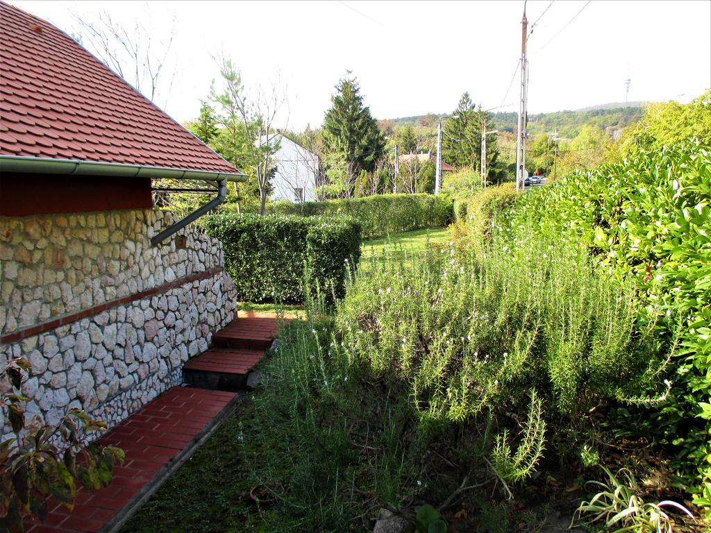 Mediterran Apartman Pécs Eksteriør billede