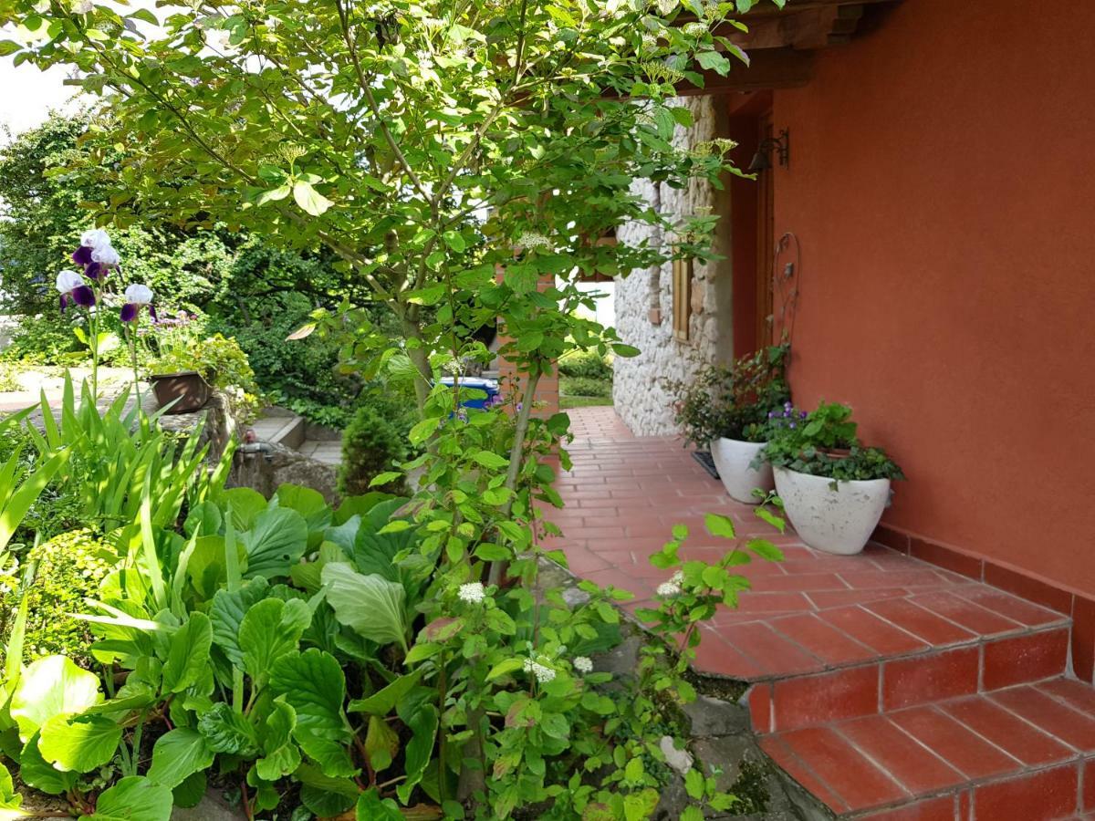 Mediterran Apartman Pécs Eksteriør billede