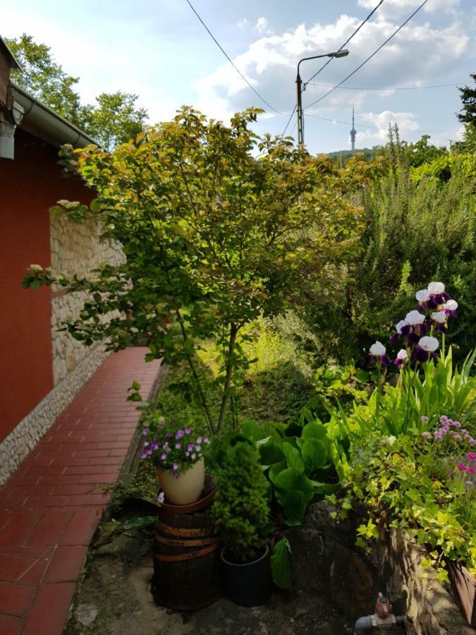 Mediterran Apartman Pécs Eksteriør billede